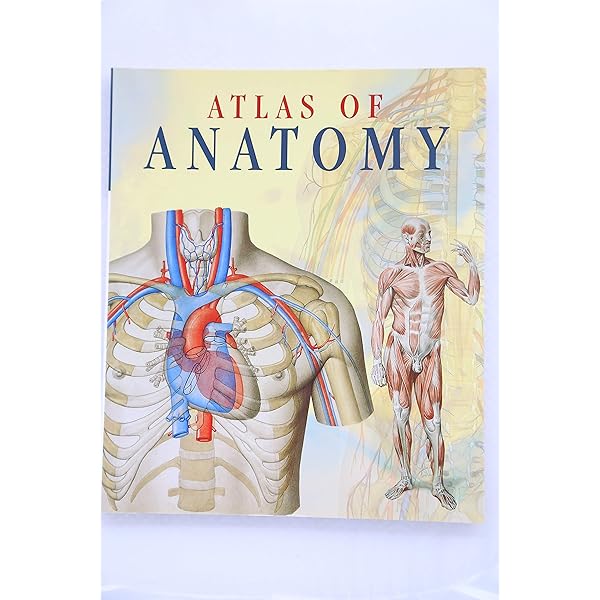 Netter's Atlas of the Human Body: 9780764158841: Medicine & Health
